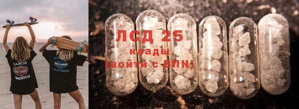 PSILOCYBIN Дмитриев